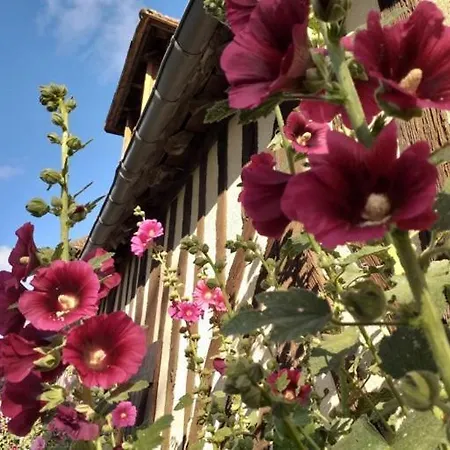 Bed & Breakfast L'ile Verte *