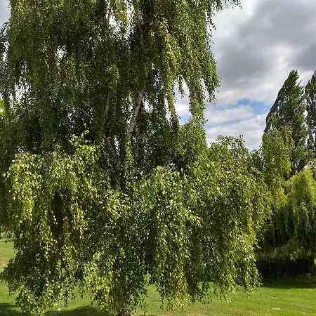 L'ile Verte